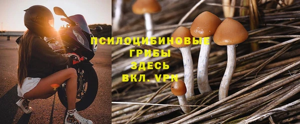 a pvp Ессентукская
