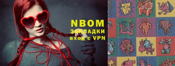 индика Володарск