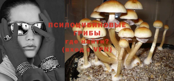 спиды Михайловск