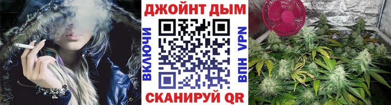 где продают наркотики  Жуков  Бошки марихуана сатива 