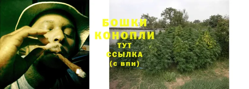 МАРИХУАНА THC 21%  Жуков 